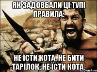 Як задовбали ці тупі правила: не їсти кота, не бити тарілок, не їсти кота.