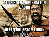 Это я когда начинается давка Перед коцертом Linkin Park