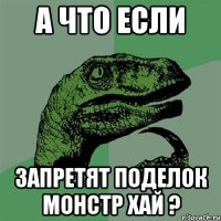 А что если Запретят поделок монстр хай ?