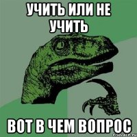 Учить или не учить вот в чем вопрос