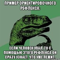 Пpимеp оpиентиpовочного pефлекса: Если человек упал, то с помощью этого pефлекса он сpазу узнает, что уже лежит.