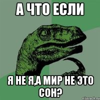 А что если Я не я,а мир не это сон?