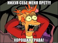 Нихуя себе меня прет!!! хорошая трава!