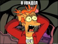 Я увидел Осу