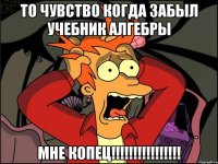 то чувство когда забыл учебник АЛгебры МНЕ КОПЕЦ!!!!!!!!!!!!!!!!