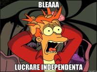 BLEAAa LUCRARE INDEPENDENTA