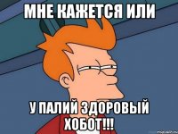 мне кажется или у Палий здоровый хобот!!!