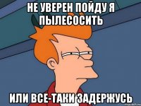 Не уверен пойду я пылесосить или все-таки задержусь