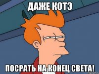 Даже котЭ Посрать на Конец Света!