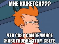 Мне кажется??? Что Саяр самое умное животное на этом свете