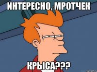 интересно, мротчек крыса???