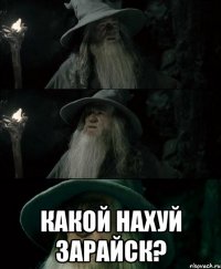  Какой нахуй Зарайск?