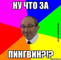 ну что за пингвин?!?