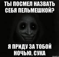 ты посмел назвать себя пельмешкой? я приду за тобой ночью, сука