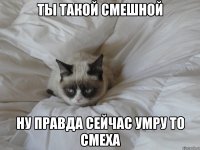 ты такой смешной ну правда сейчас умру то смеха