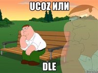 UCOZ или DLE