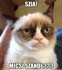 szia! micsi szandi ???