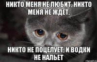 никто меня не любит, никто меня не ждет, никто не поцелует, и водки не нальет