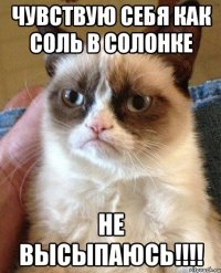 чувствую себя как соль в солонке НЕ ВЫСЫПАЮСЬ!!!!