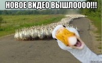 Новое видео вышлоооо!!! 