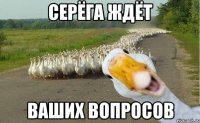 Серёга ждёт ваших вопросов