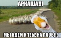 Аркаша!!! Мы идем к тебе на плов!!!