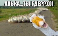 анька...ты где??)))) 