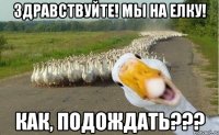 Здравствуйте! Мы на елку! Как, подождать???