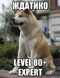 Ждатико Level 80+ EXPERT