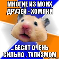 Многие из моих друзей - хомяки ...Бесят очень сильно , тупизмоМ