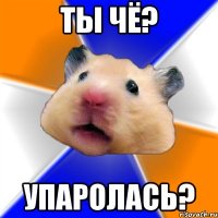 ты чё? упаролась?