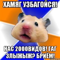 Хамяг узбагойся! Нас 2000видов! Гаг злыжыж? Бриём!