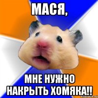 Мася, мне нужно накрыть хомяка!!