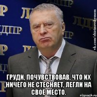  Груди, почувствовав, что их ничего не стесняет, легли на своё место.