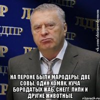  на пероне были мародеры, две совы, один хомяк, куча бородатых жаб, Снегг, Лили и другие животные