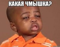 какая чмышка? 