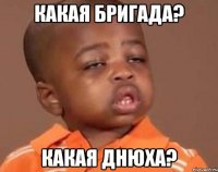 КАКАЯ БРИГАДА? КАКАЯ ДНЮХА?