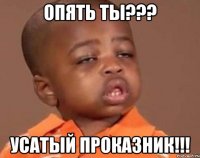 опять ты??? усатый проказник!!!