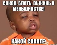 Сокол, блять, выкинь в меньшинстве! Какой Сокол?