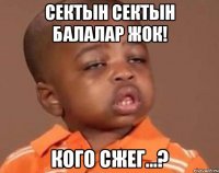 сектын сектын балалар жок! кого сжег...?