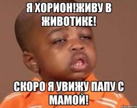 Я хорион!живу в животике! Скоро я увижу папу с мамой!