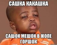 сашка какашка сашок мешок в жопе горшок