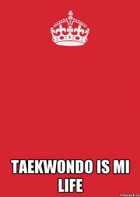  TAEKWONDO IS MI LIFE