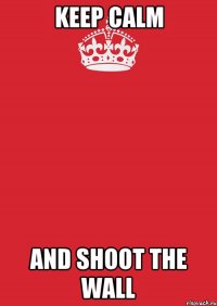 Keep calm and shoot the wall