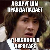 а вдруг шм правда падает с кабанов в дуротаре