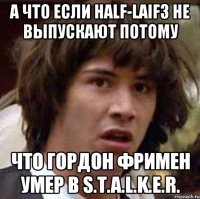 А что если Half-laif3 не выпускают потому Что Гордон Фримен умер в S.T.A.L.K.E.R.