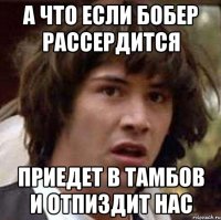 а что если бобер рассердится приедет в тамбов и отпиздит нас