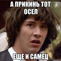 А прикинь тот осел Еще и самец