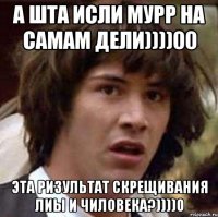 А шта исли мурр на самам дели))))00 Эта ризультат скрещивания лиы и чиловека?))))0