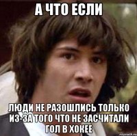 А что если Люди не разошлись только из-за того что не засчитали гол в хокее